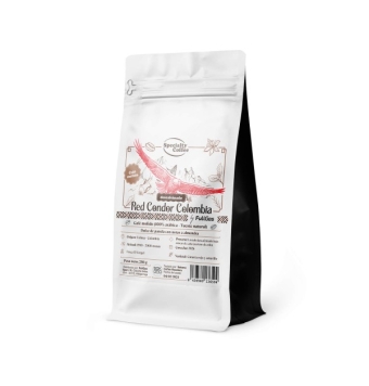 FullGas Café de...