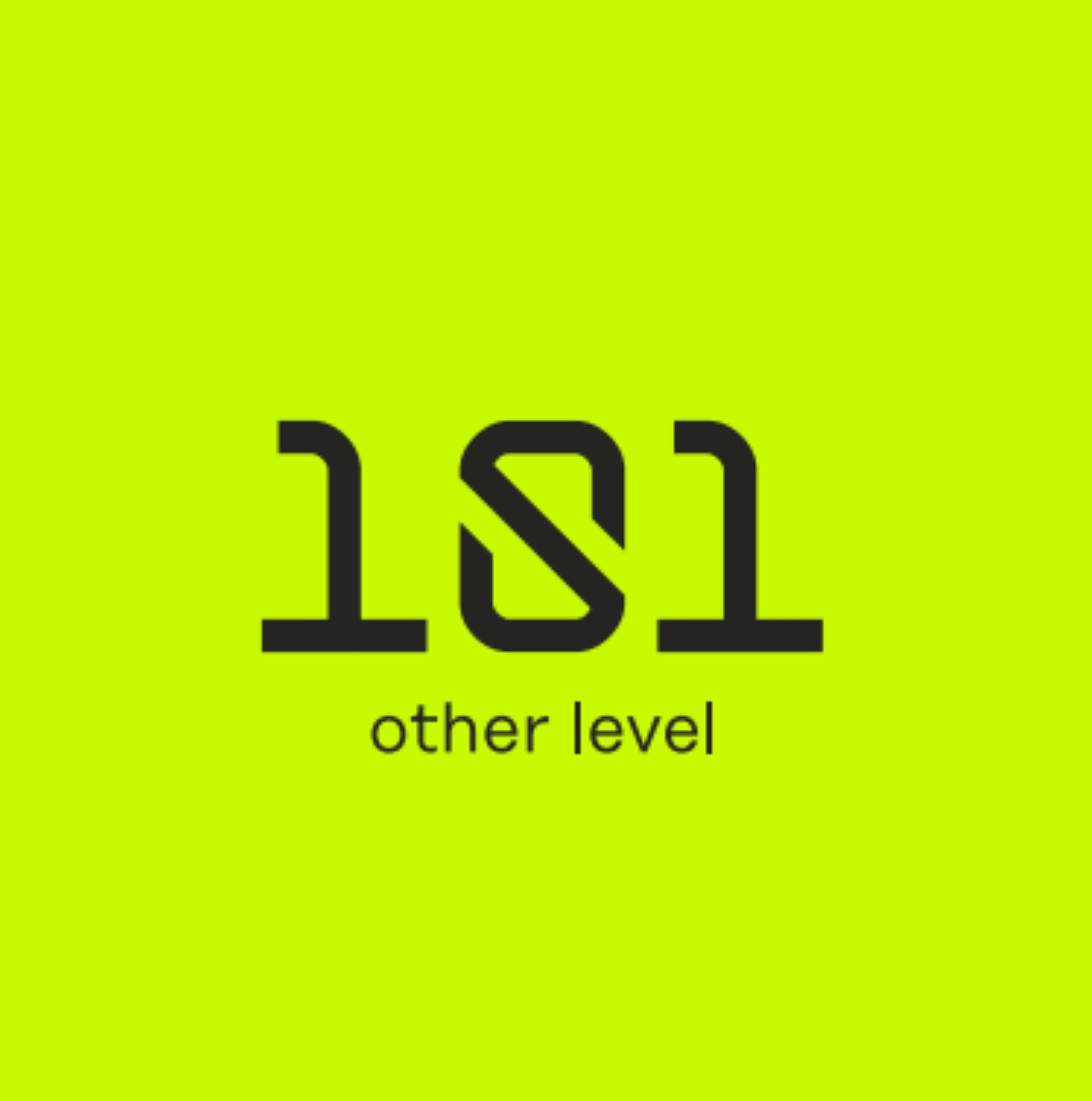 101 OTHER LEVEL